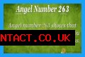 263 Angel Number Meaning - Pulptastic