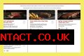 Black Angus Steakhouse Menu and Prices - SarkariResult