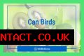 Can Birds Eat Herbs? - Kylon Powell
