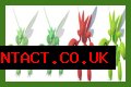 Pokemon Go Bug Out event live - shiny Scyther and Scizor available