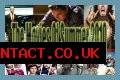 The Movies of Summer 2010