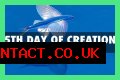 What did God create on the fifth day of creation?